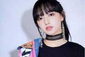 娱乐圈吃瓜程潇小说免费阅读