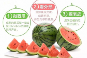 吃瓜娱乐社大咖