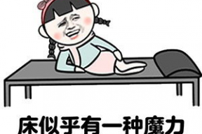 表情包床动画,趣味横生的睡眠时光